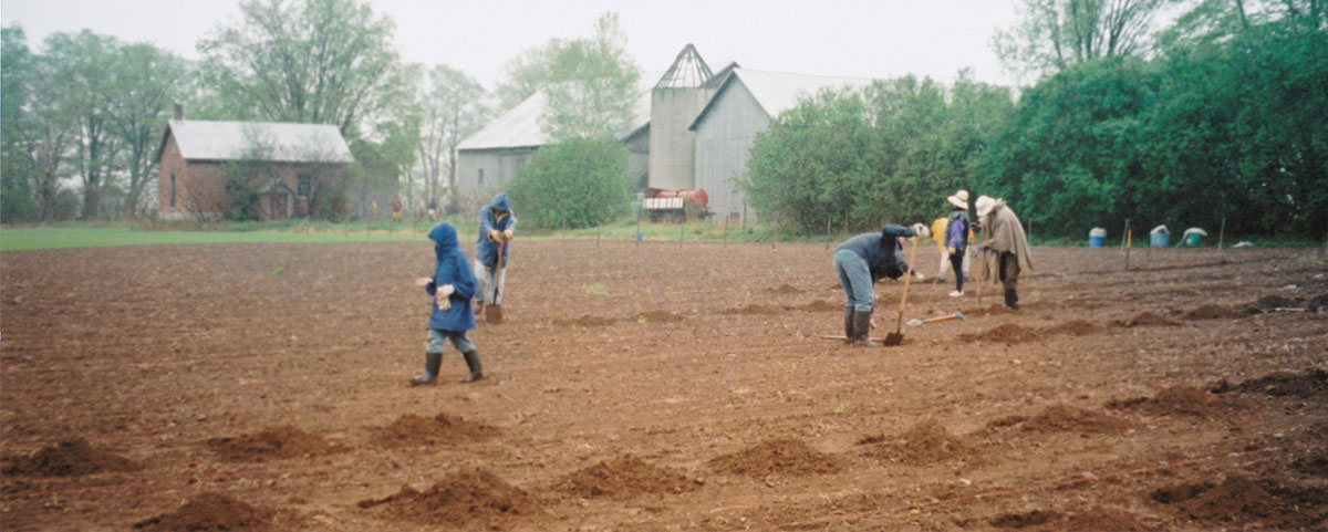 Planting a vineyard in Prince Edward County in 1999