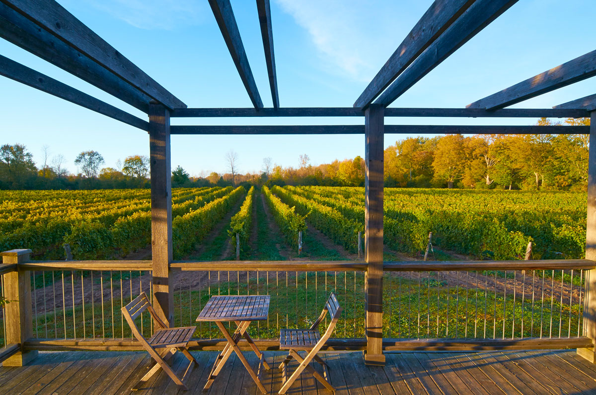 The deck off the back of the tasting room, overlooking the vineyard.